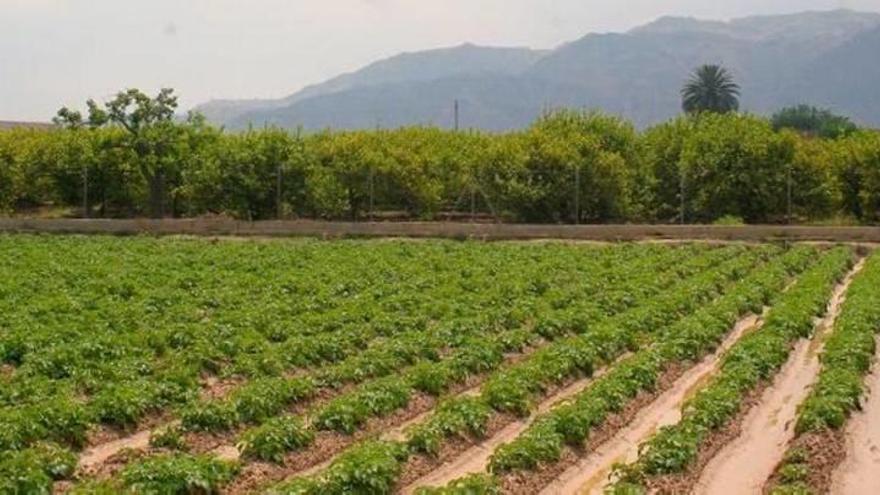 Terrenos de Molina que forman parte de la zona de influencia del Heredamiento.