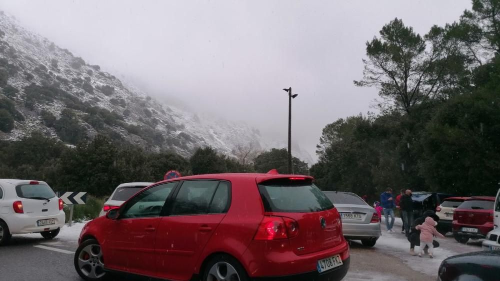 Schneefall auf Mallorca - Verkehrschaos in den Bergen