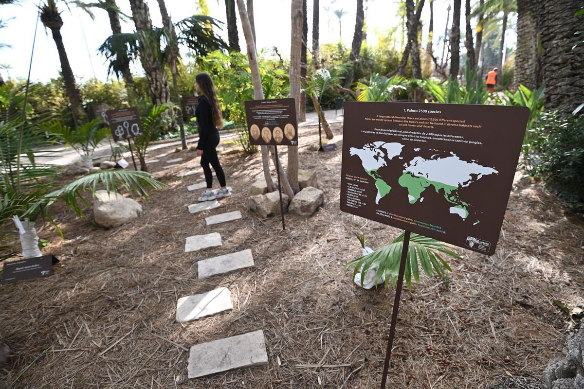 Recorrido didáctico que ha impulsado el jardín artístico Huerto del Cura en Elche