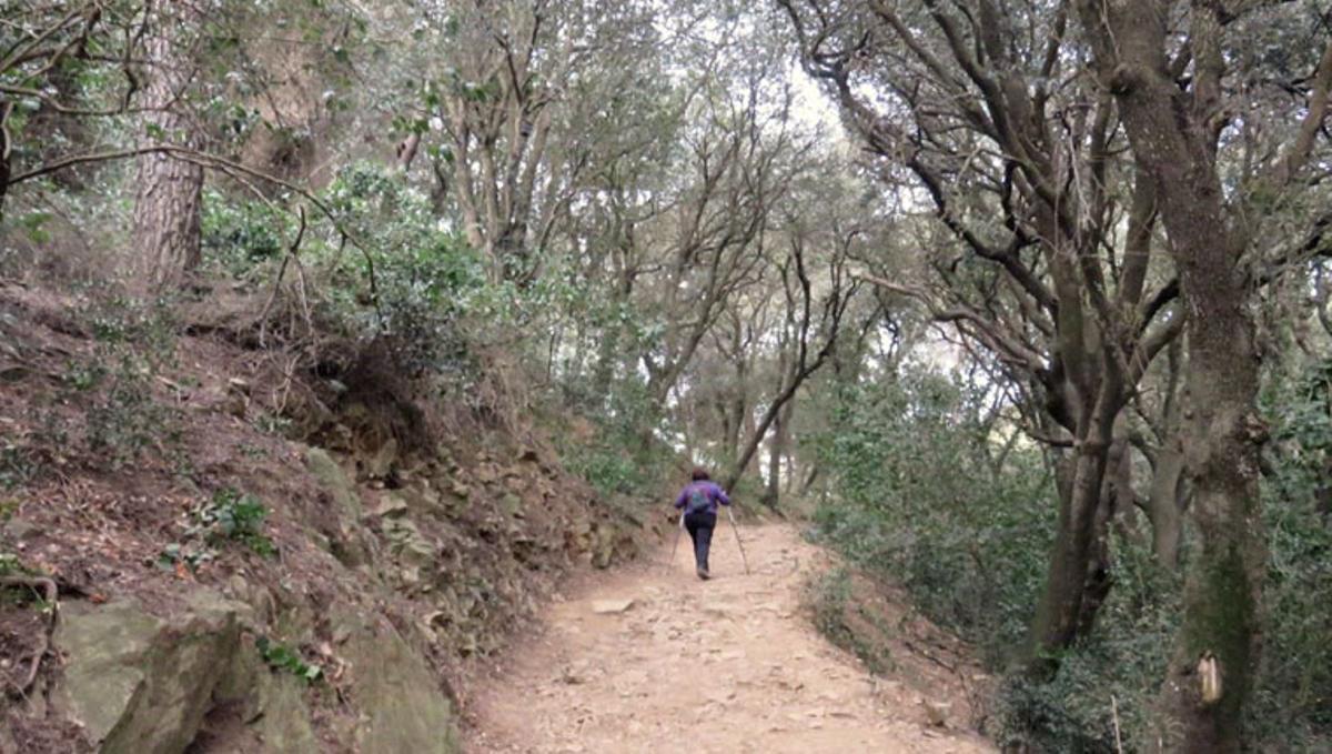 Camino de Sant Genís.