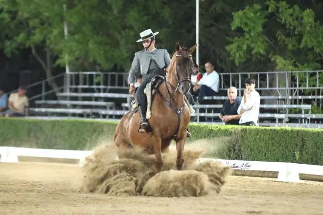FOTOGALERÍA | Caballos, doma y tradición: así es la exhibición Esencia Vaquera en El Rocío (Huelva)