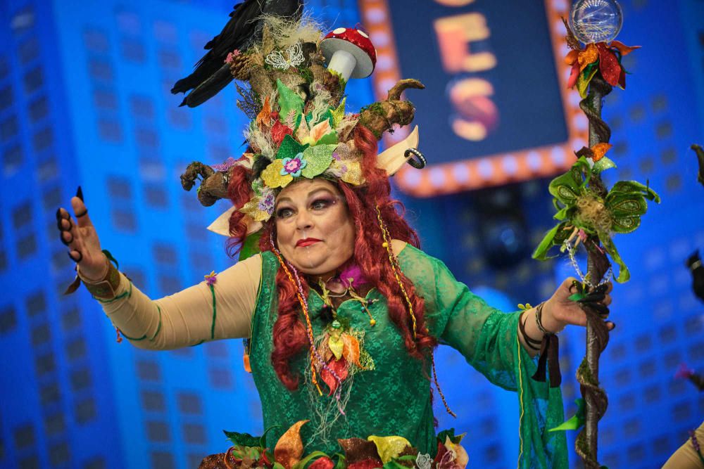 Fotos de los ganadores y de todos los participantes en el Concurso de Disfraces del Carnaval de Santa Cruz de Tenerife.  | 16/02/2020 | Fotógrafo: Andrés Gutiérrez Taberne