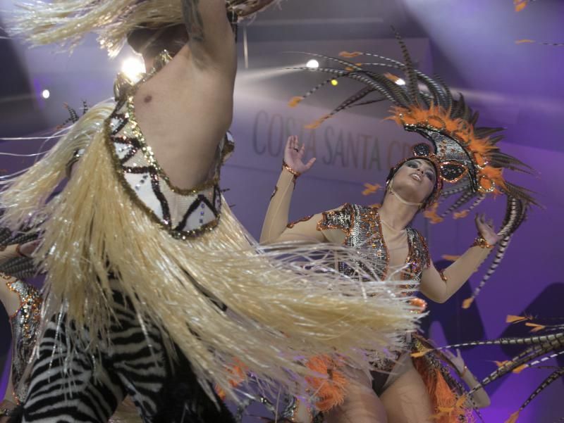 Gala de la Reina del Carnaval de Santa Cruz