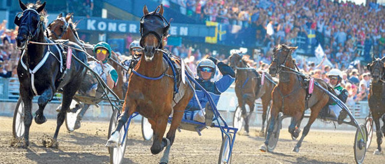 Björn Goop celebra su triunfo en la final de la Elitlopp´2014, que conquistó con Timoko.