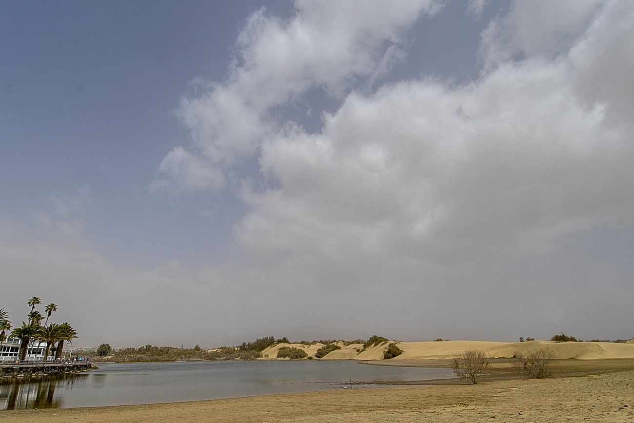 Calima en Las Palmas de Gran Canaria (17/03/2022)