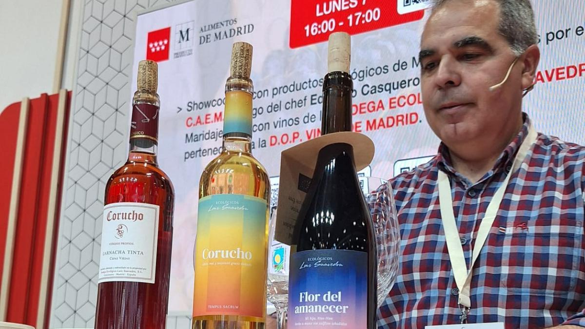 Vinos ecológicos de la Bodega Luis Saavedra.