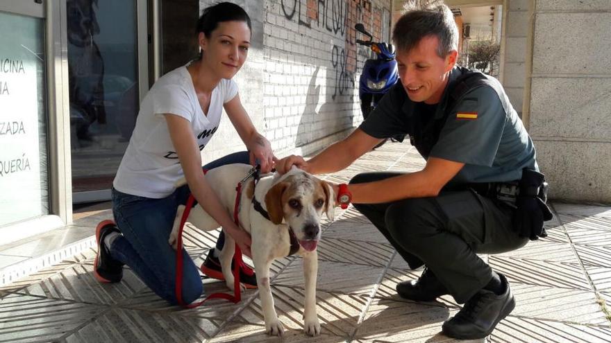 &quot;Stone&quot;, flanqueado por una representante de Bai.Senpulgas y un guardia civil. // G.C.