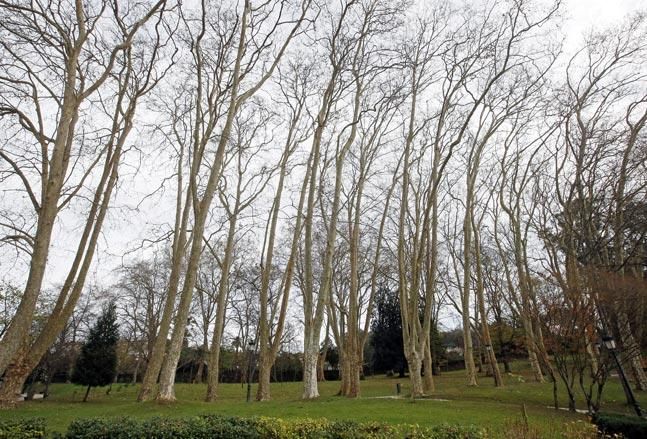 El Parque de Castrelos se muda con las estaciones