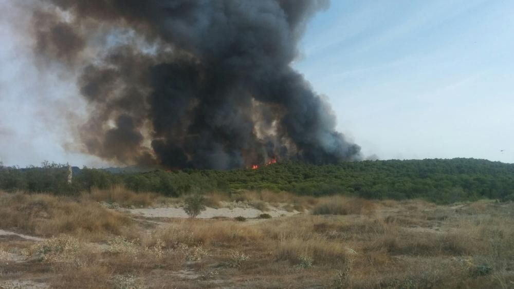 Im Gebiet von sa Canova im Nordosten von Mallorca ist am Mittwochnachmittag (17.8.) erneut ein Waldbrand ausgebrochen, nachdem es nur zwei Tage zuvor bereits gebrannt hatte. Das Feuer war gegen 2 Uhr nachts unter Kontrolle und zerstörte rund 23 Hektar Kiefernwald.