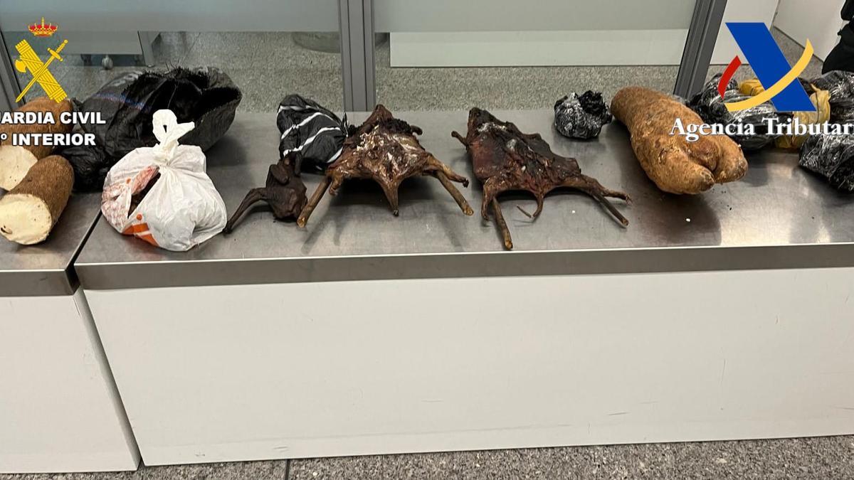Los animales desecados y en estado de descomposición intervenidos en el aeropuerto de Santiago.