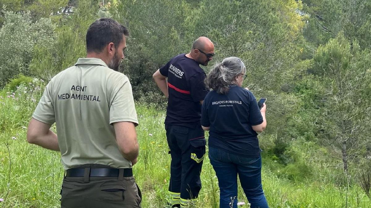 Personal de planificación y gestión de incendios en Xàtiva.