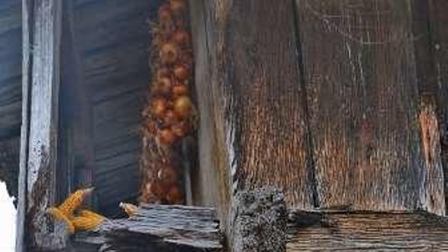 Arriba, Juan Álvarez Granda con una de sus vacas asturiana de los valles. Debajo, Julia García Mayo, asomada a una puerta de cuarterón. A la izquierda, un caldero con manzanas recién cogidas de la pomarada.