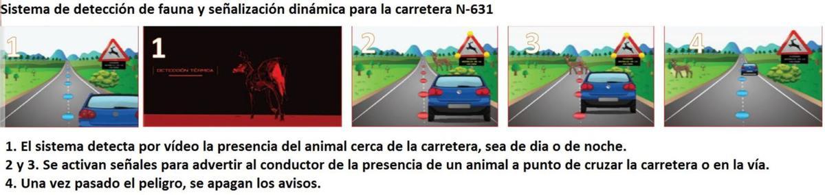 Esquema del funcionamiento del sistema de detección de fauna y aviso a los conductores para que reduzcan la velocidad. | Proyecto N-631