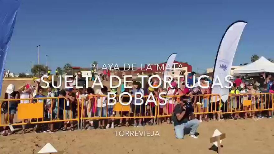 Suelta de tortugas bobas en la playa de La Mata de Torrevieja
