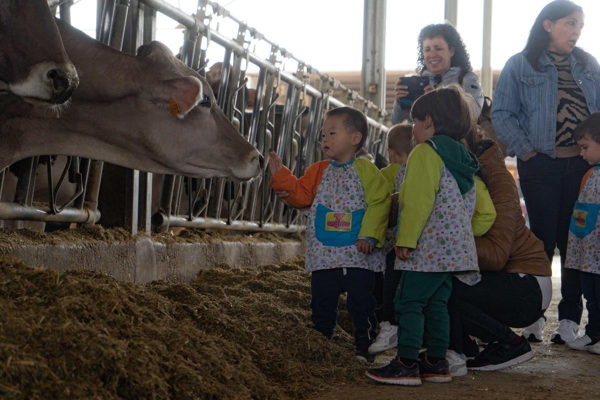 El fascinante viaje a la "granja de Jorge" El fascinante viaje a la "granja de Jorge"