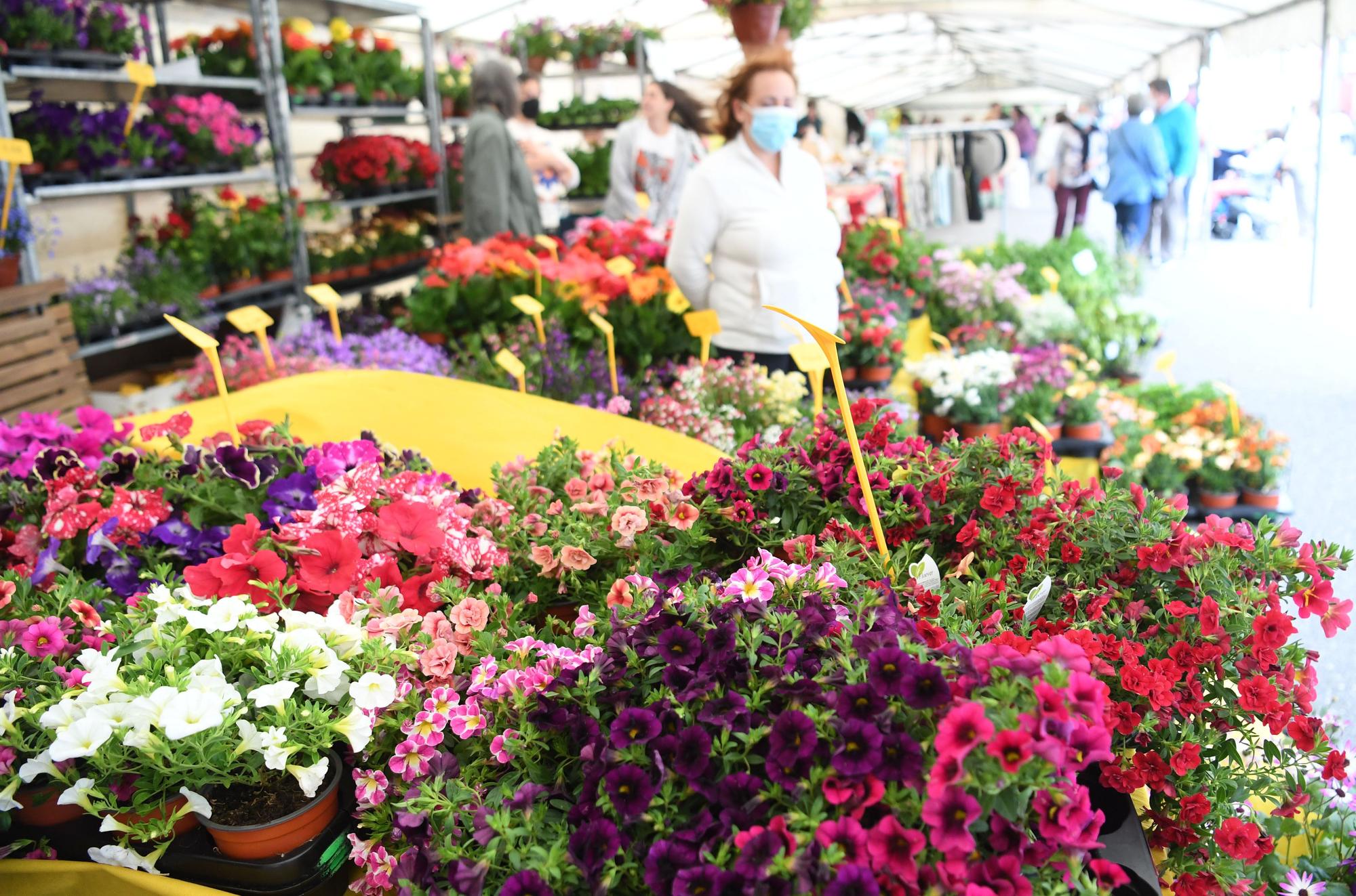 Feira das flores de Vilarmaoir