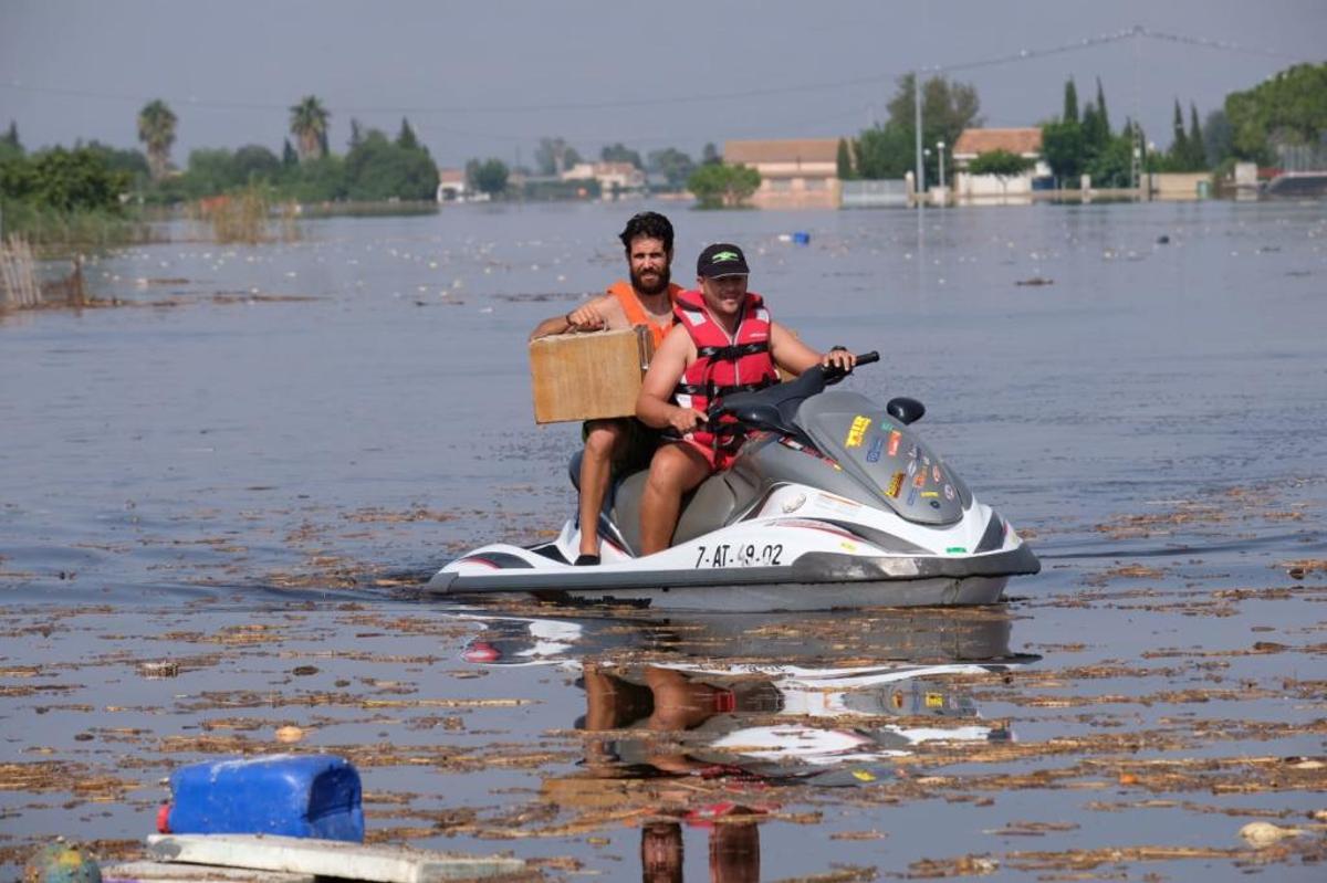 En directo: Los agricultores cifran en 550 millones las pérdidas en el campo de la provincia de Alicante