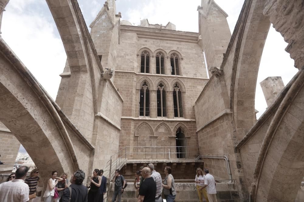 Visita guiada a las terrazas de la Seu