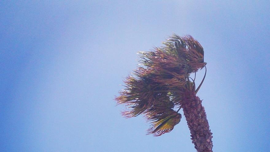The Canary Islands activate the risk due to winds of up to 85 kilometers per hour