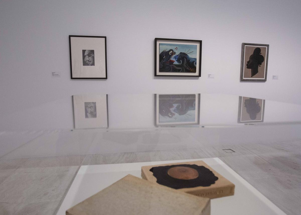 Exposición "Arte en una tierra baldía" en el MACA, con fondos del IVAM