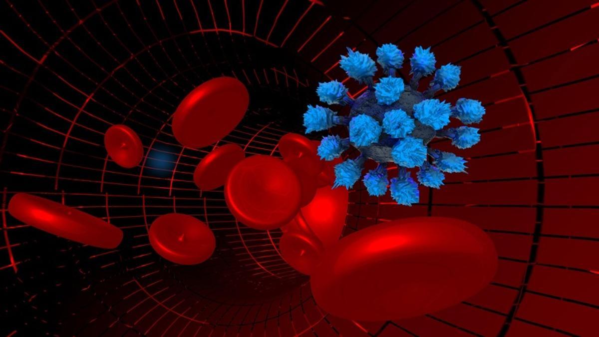 Representación gráfica del coronavirus en la sangre.