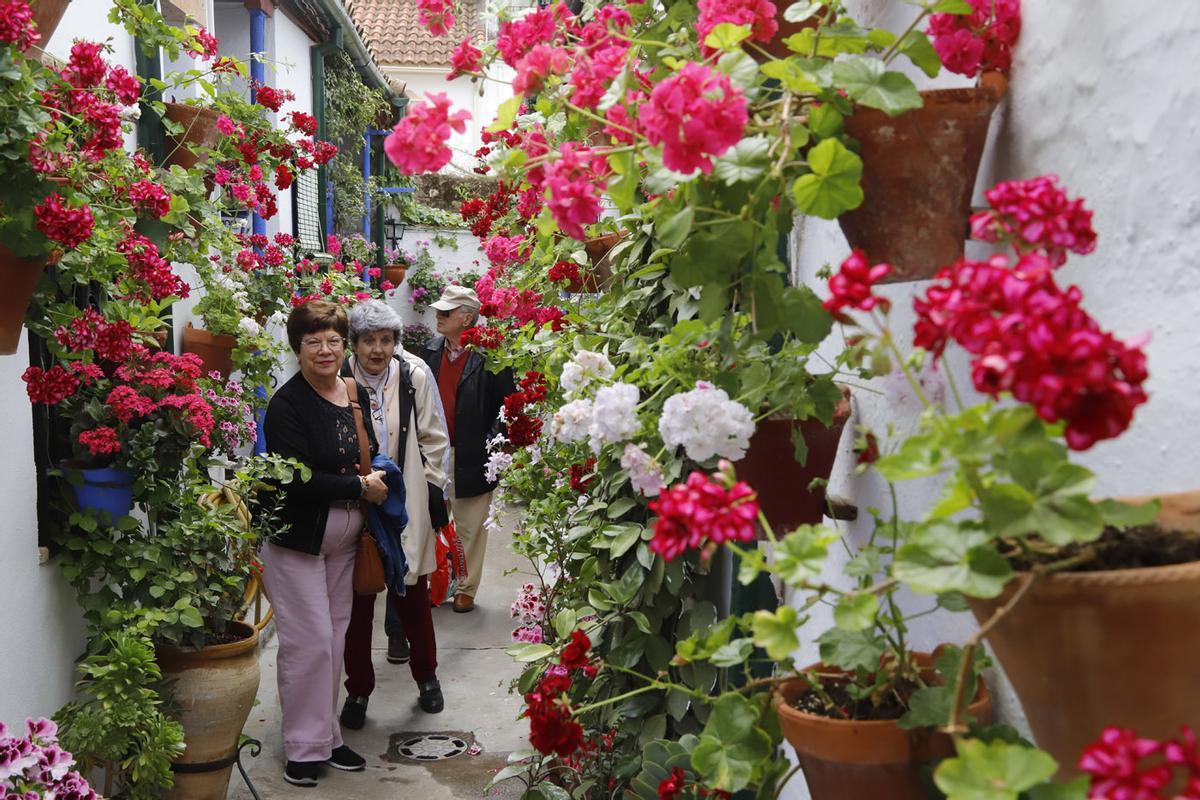 Patios de Córdoba: Marroquíes 6