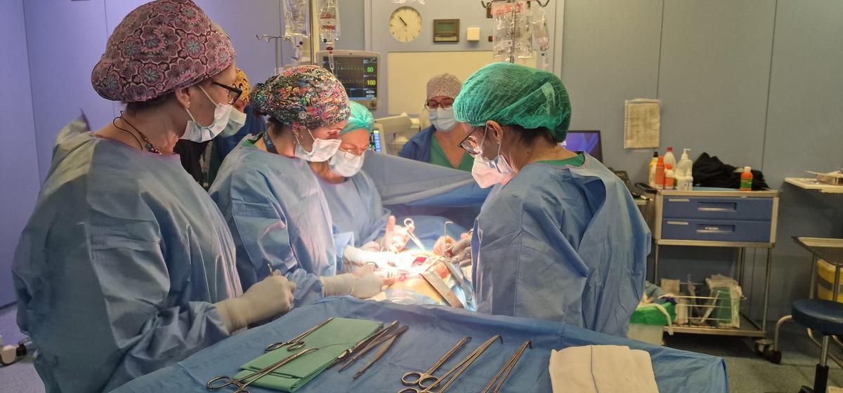 Un momento de intervención en un quirófano del hospital de Elda para tratar eventraciones y hernias complejas de la pared abdominal