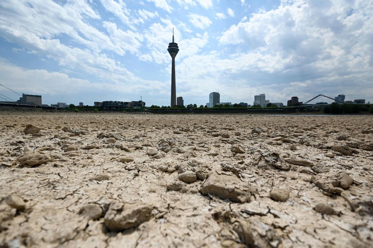 Tierra en la ribera del Rin afectada por la grave sequía.