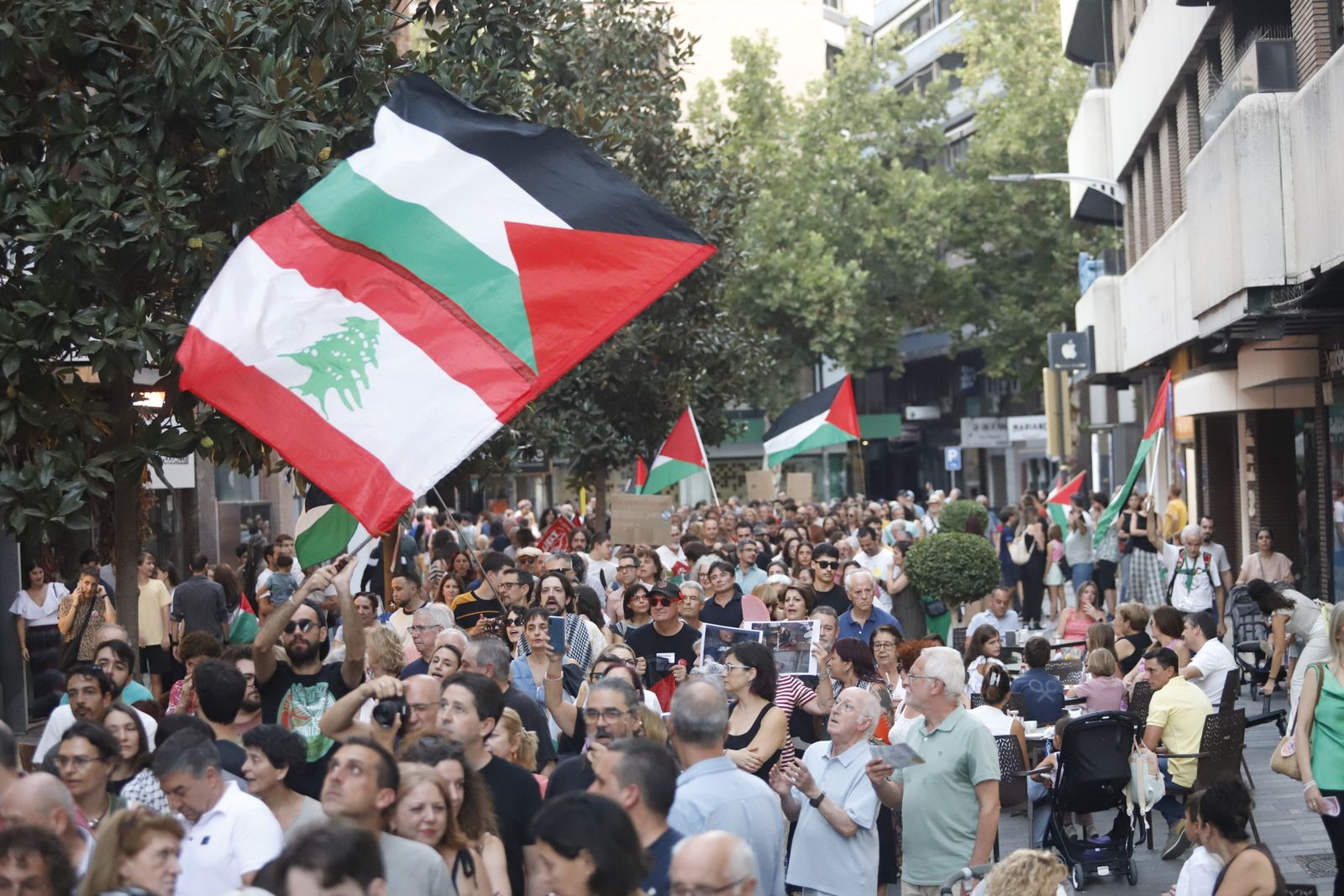 La manifestación por Palestina, en imágenes