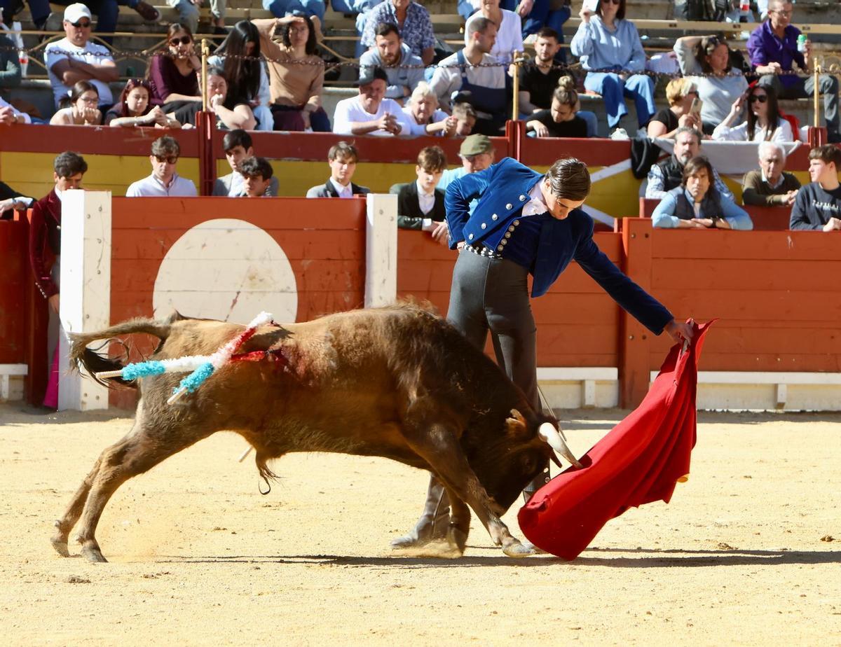 El novillero Rodrigo Villalón toreando al natural al quinto novillo del festejo