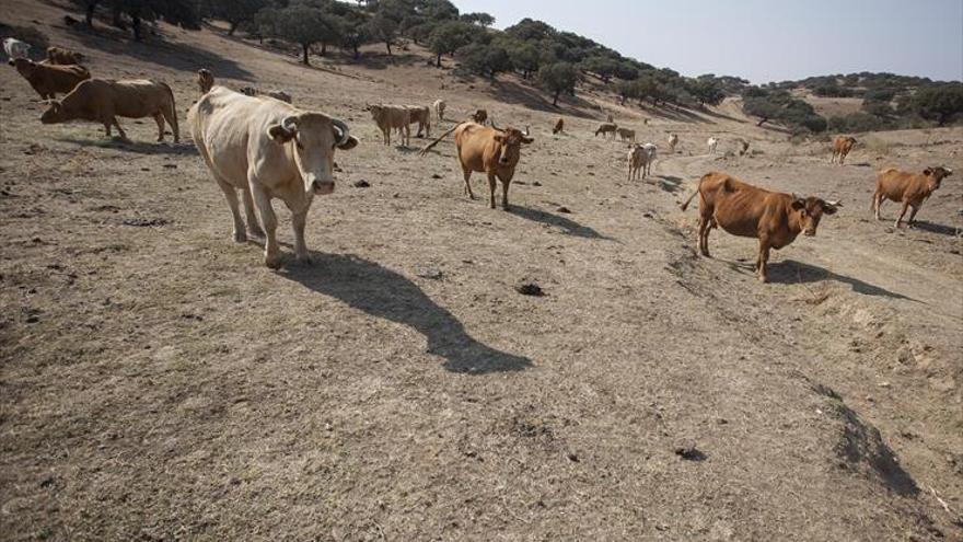 Préstamos de hasta 40.000 € para el campo