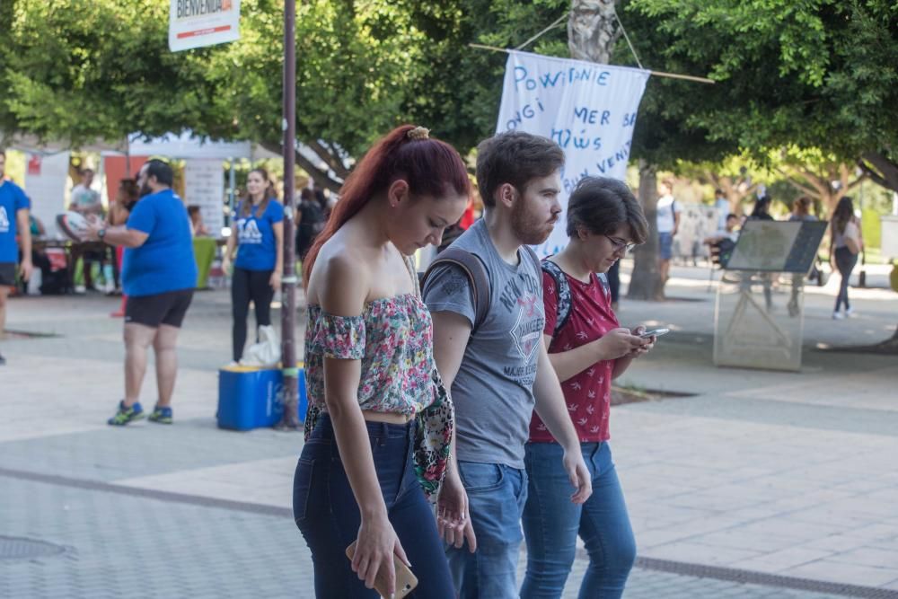 12 campanadas o comida vegana en foodtrucks para dar la Bienvenida a la UA