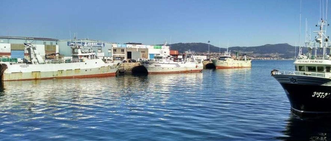 Arrastreros de Gran Sol en Vigo en una fotografía de archivo. // A.A.