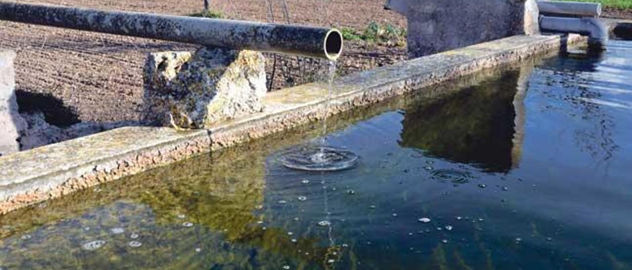 Las masas de aguas subterráneas han sido sobreexplotadas.