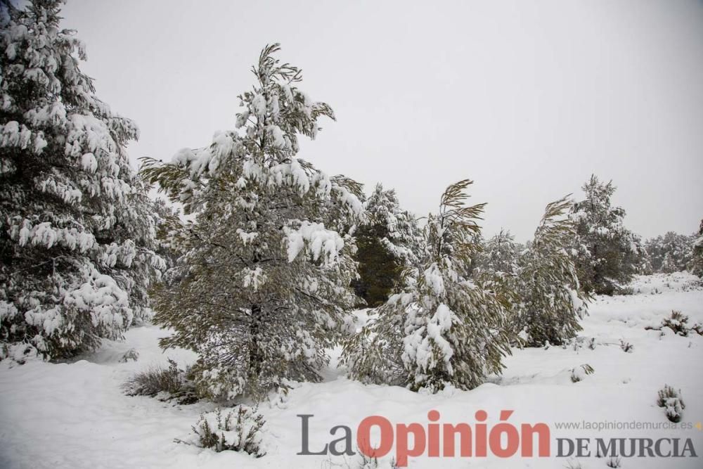 Temporal en el Noroeste (pedanías de El Moral y El