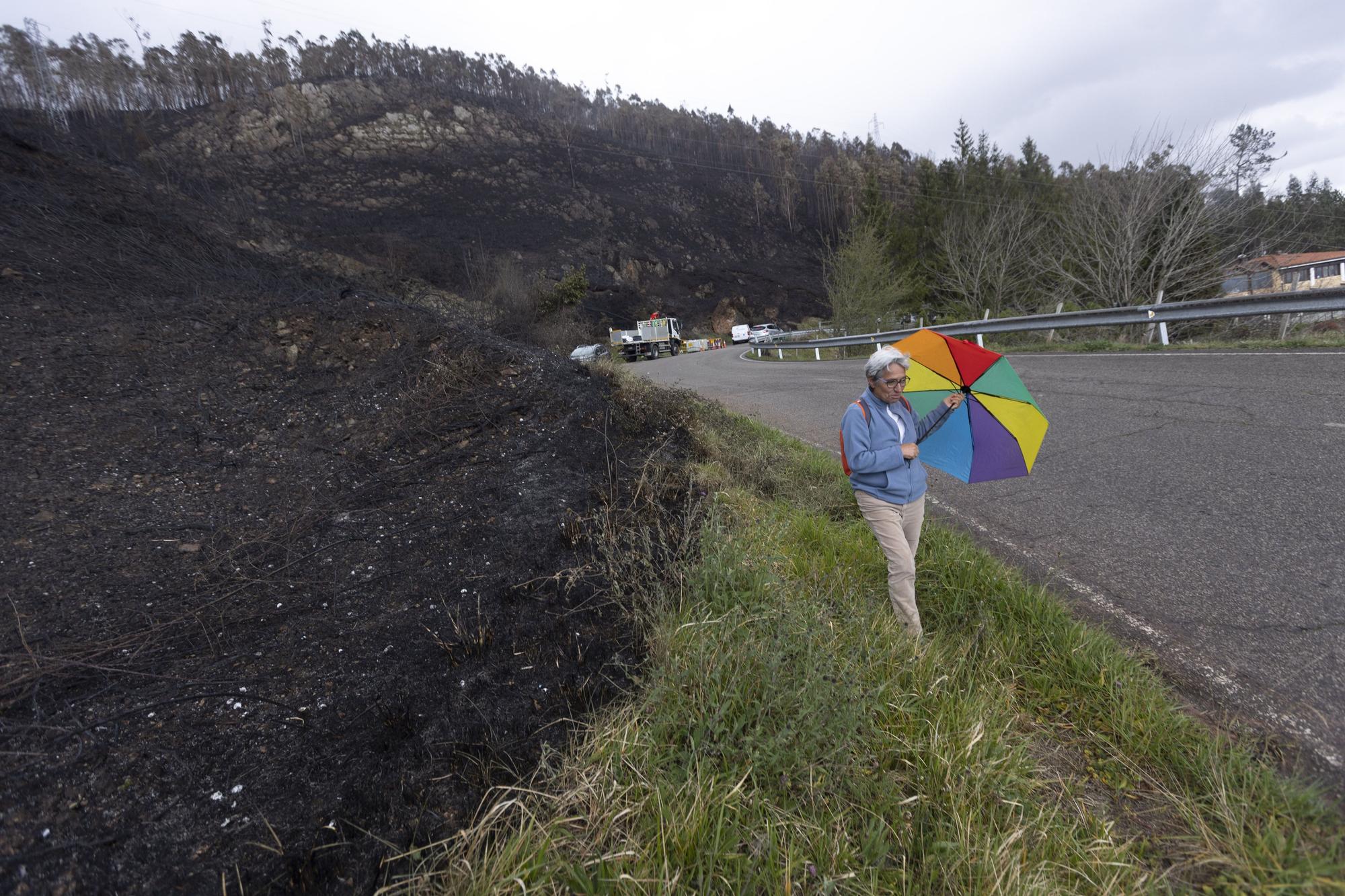 El aspecto del Naranco tras unos incendios históricos