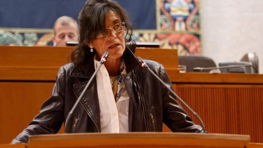 El PP velará por acabar legislatura sin la &quot;fabla&quot; y la &quot;nazión con z&quot; de CHA