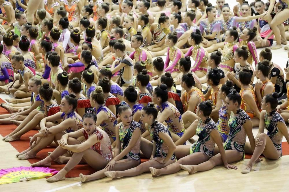 Campeonato regional de gimnasia rítmica