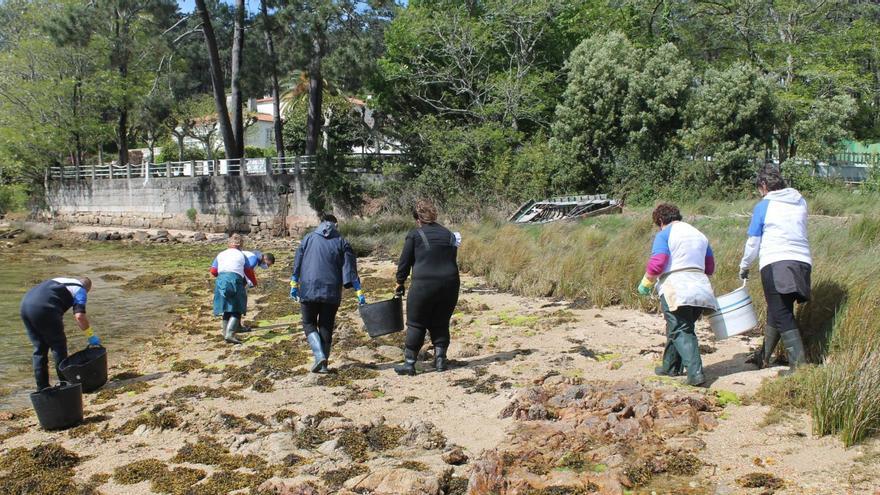 116.000 euros para limpiar los bancos marisqueros de San Martiño