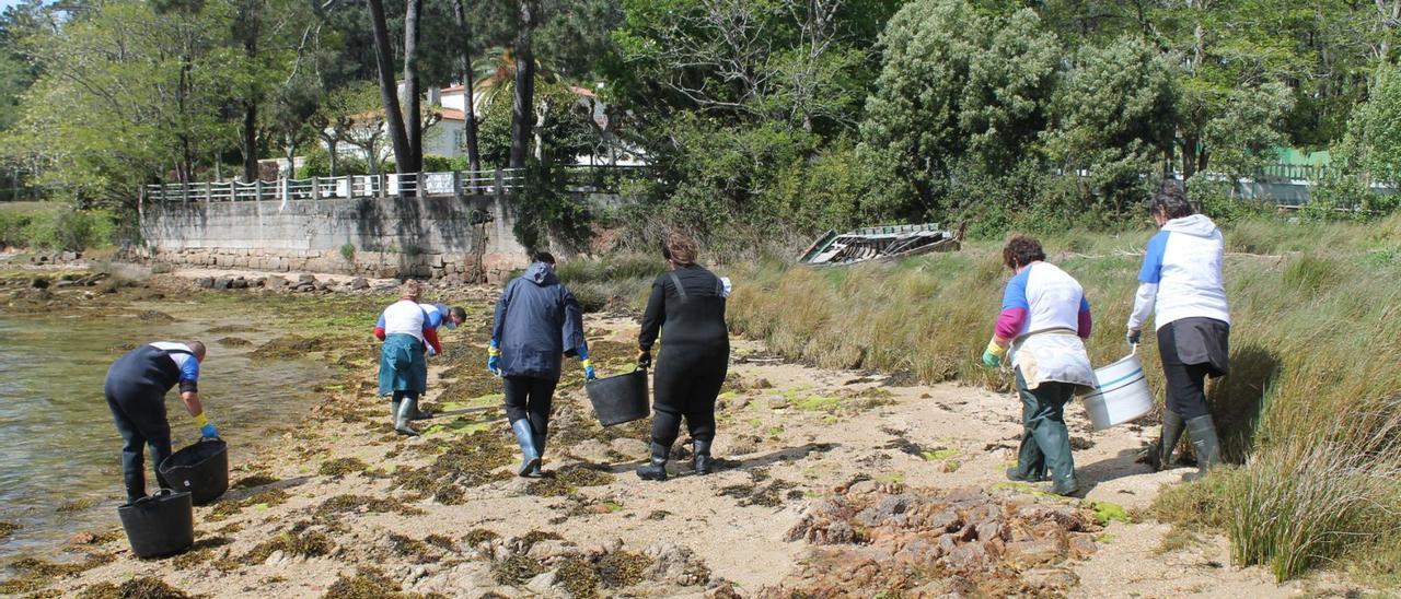 Participantes en una de las jornadas de lucha contra la basura marina desplegadas este año en la isla de A Toxa. |   //  FDV