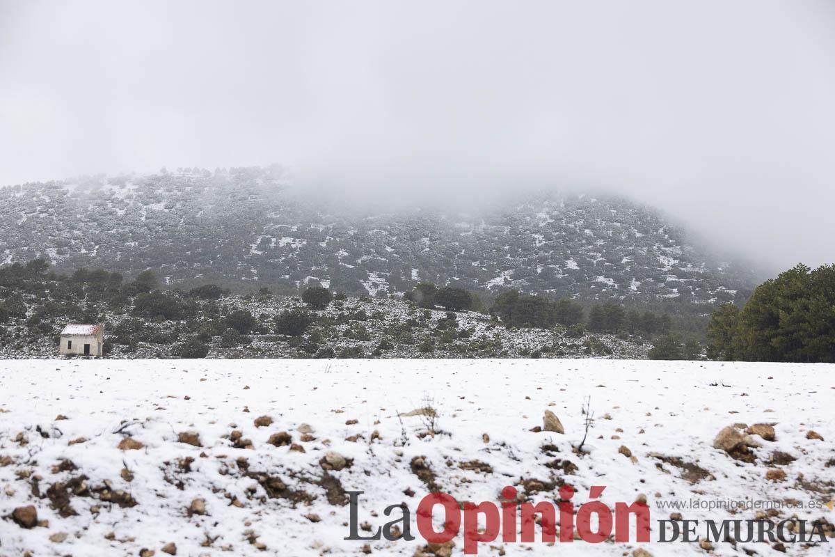 Así se está viviendo la última nevada en las proximidades de Revolcadores en Moratalla Así se está viviendo la última nevada en las proximidades de Revolcadores en Moratalla
