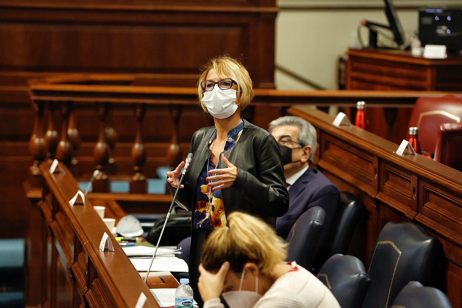 Pleno en el Parlamento de Canarias (9/2/21)