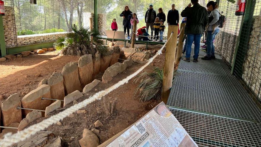 Ruta por la Prehistoria en Córdoba