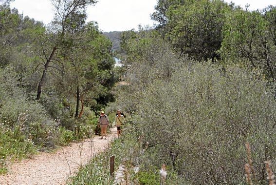 Der Naturpark Mondragó gehört zu den schönsten Ecken der Insel. Ein Besuch, jetzt, wo es noch nicht so voll ist.