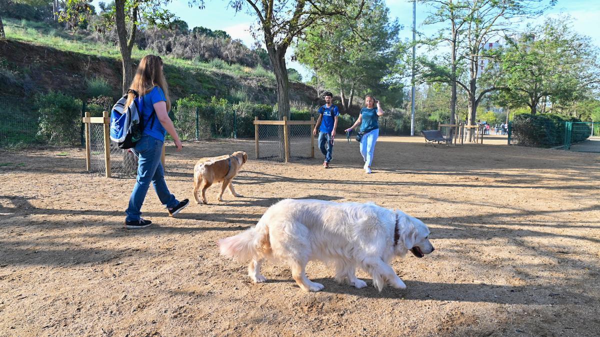 Parque el Turonet de Cerdanyola durante la presentación del Plan para la sensibilización y convivencia de perros