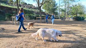 Parque el Turó de Cerdanyola durante la presentación del Plan para la sensibilización y convivencia de perros