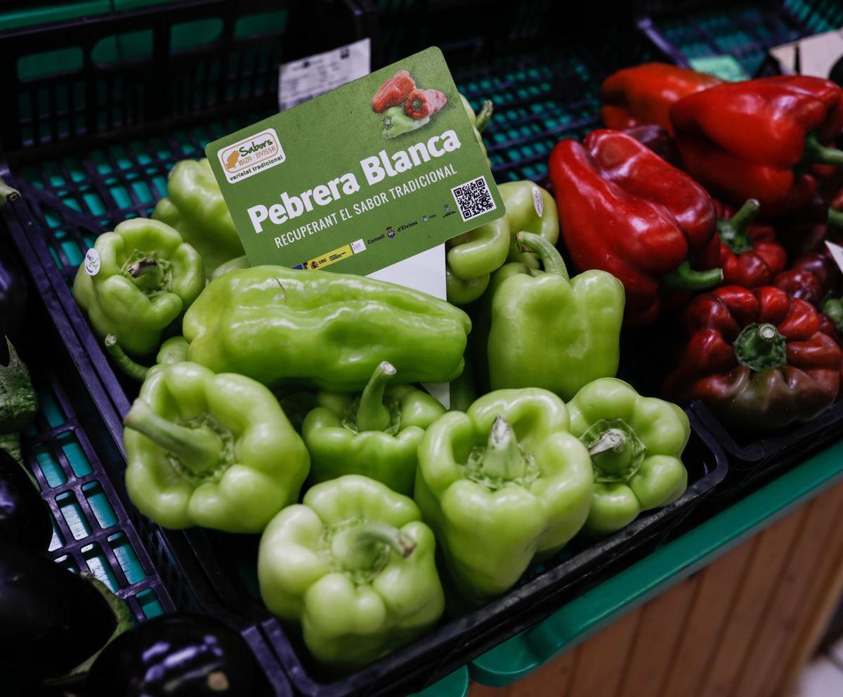 Verduras y hortalizas cultivadas en Ibiza, los sabores más auténticos de esta tierra. | ZOWY VOETEN