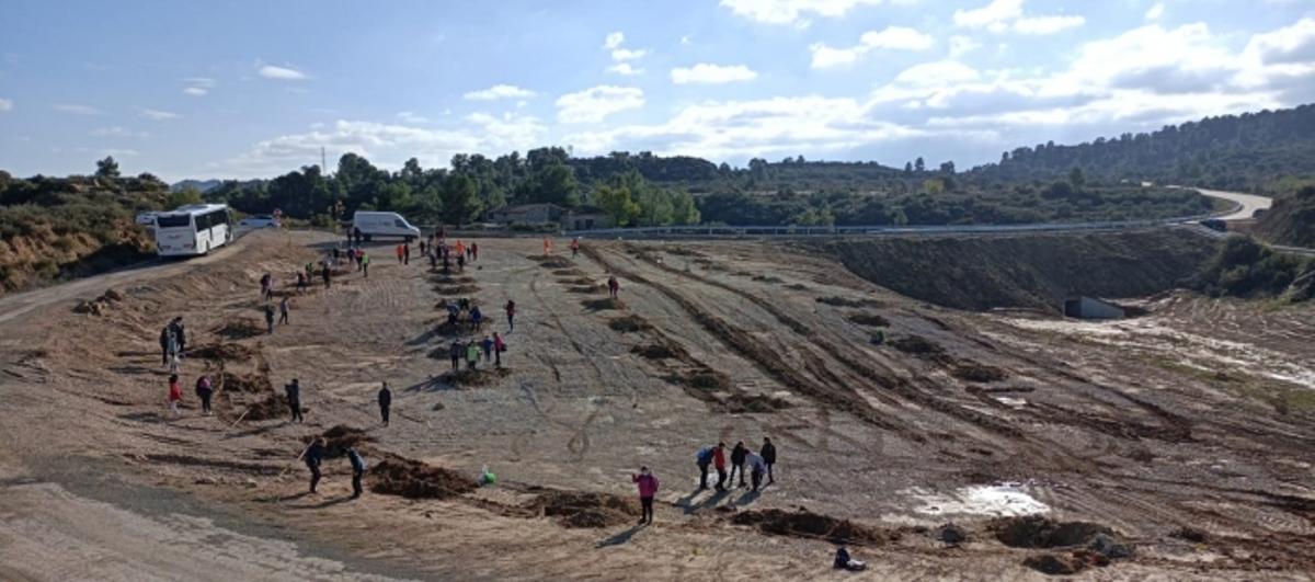 Los escolares han participado esta mañana en la reforestación