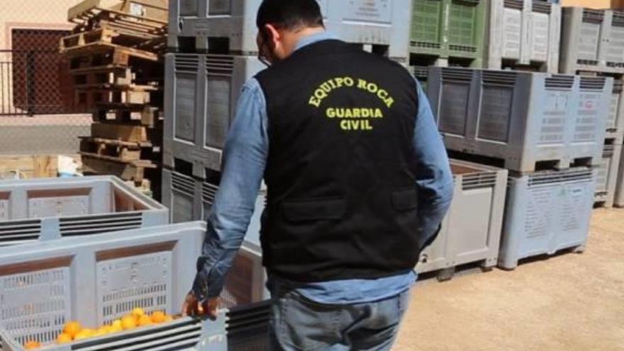 La Guardia Civil inspecciona los cajones de naranjas.