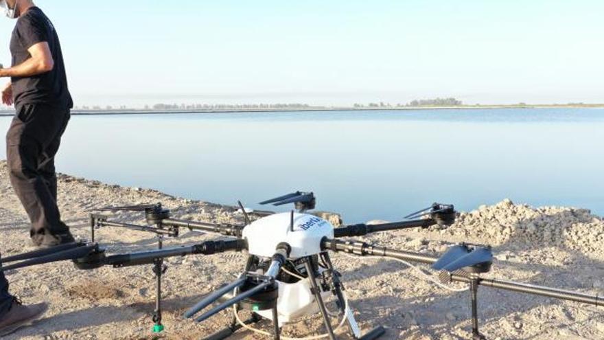 Proyecto piloto con drones agrícolas para ‘muscular’ cítricos y hortalizas